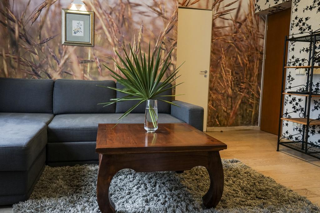 Guest House Senasis Pastas Druskininkai Extérieur photo